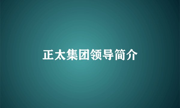 正太集团领导简介