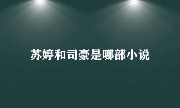 苏婷和司豪是哪部小说