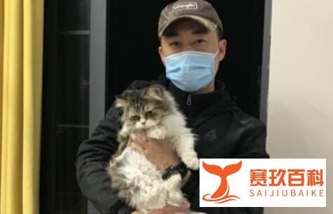90后小伙驱车百里只为找猫 这是咋情况？