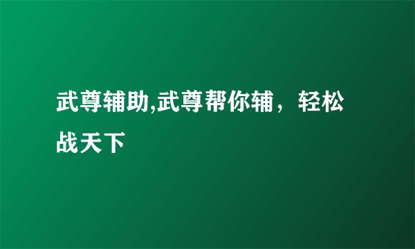 武尊辅助,武尊帮你辅，轻松战天下