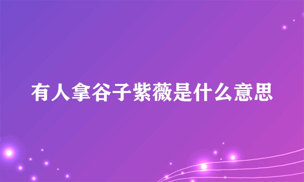 有人拿谷子紫薇是什么意思