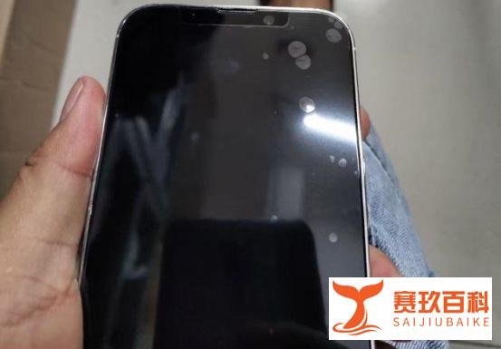 苹果iPhone13系列机模曝光:后置镜头拥有全新布局