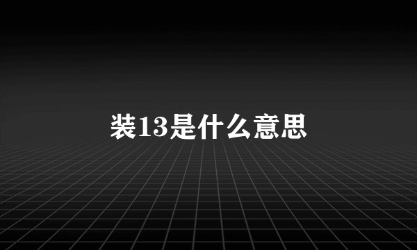 装13是什么意思