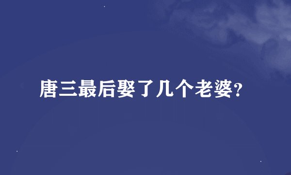 唐三最后娶了几个老婆？
