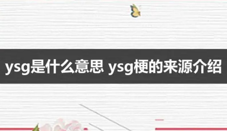 ysg是什么意思？