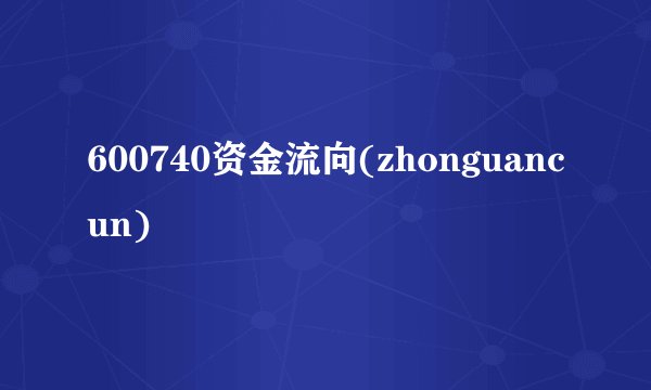 600740资金流向(zhonguancun)