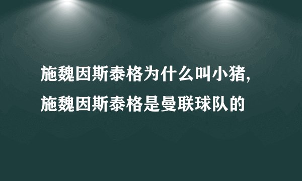 施魏因斯泰格为什么叫小猪,施魏因斯泰格是曼联球队的