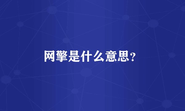 网擎是什么意思？
