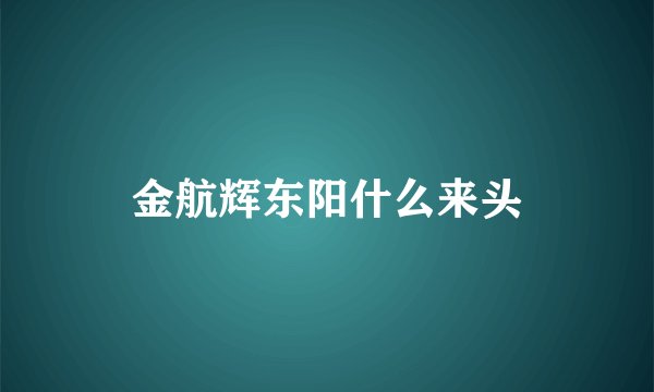 金航辉东阳什么来头