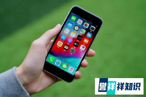 库克真香旗舰终于来了!小屏旗舰iPhoneSE3曝光:A15芯片定价三千元
