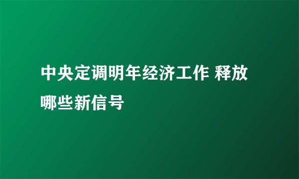 中央定调明年经济工作 释放哪些新信号