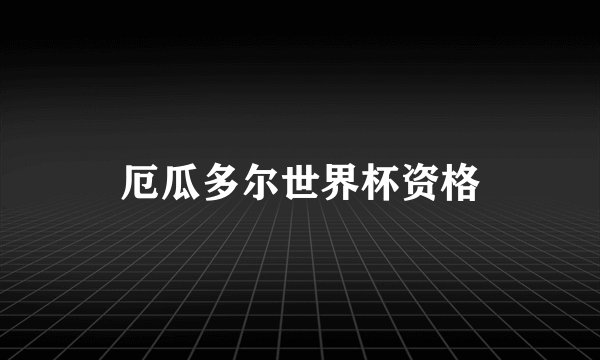 厄瓜多尔世界杯资格