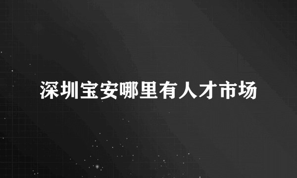 深圳宝安哪里有人才市场