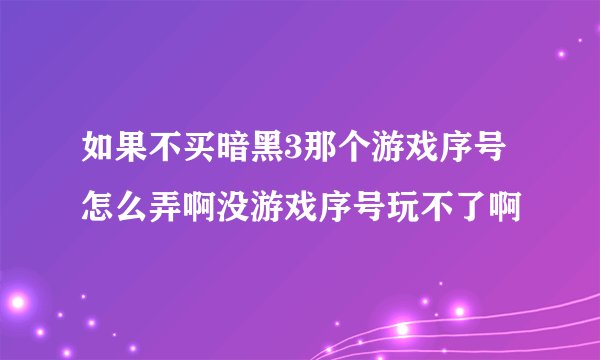 如果不买暗黑3那个游戏序号怎么弄啊没游戏序号玩不了啊