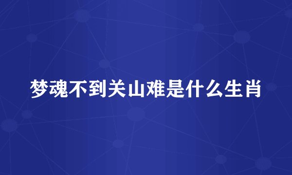 梦魂不到关山难是什么生肖