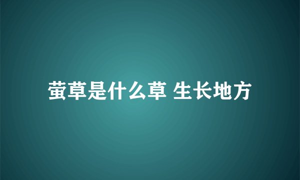 萤草是什么草 生长地方