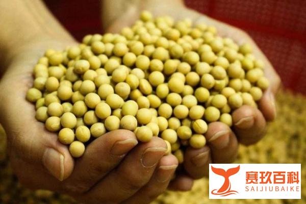2022年开年，粮食价格易涨难跌，强大的美国农业