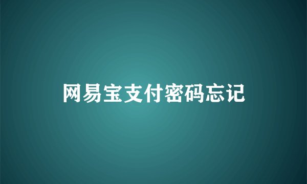 网易宝支付密码忘记