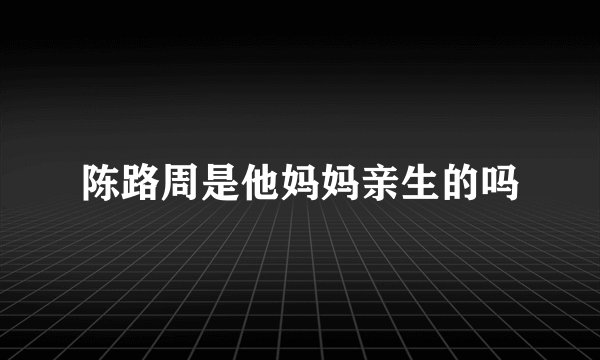 陈路周是他妈妈亲生的吗