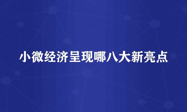 小微经济呈现哪八大新亮点