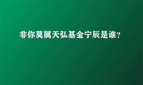 非你莫属天弘基金宁辰是谁？