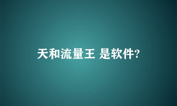 天和流量王 是软件?