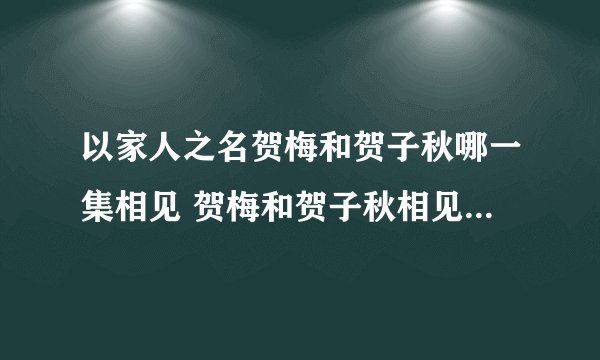 以家人之名贺梅和贺子秋哪一集相见 贺梅和贺子秋相见说了什么