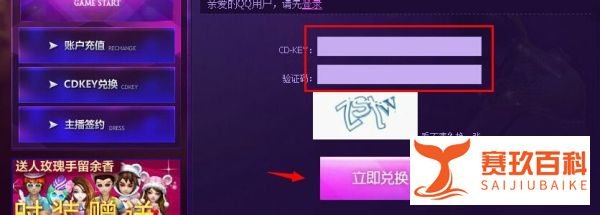 夜店之王cdkey怎么用