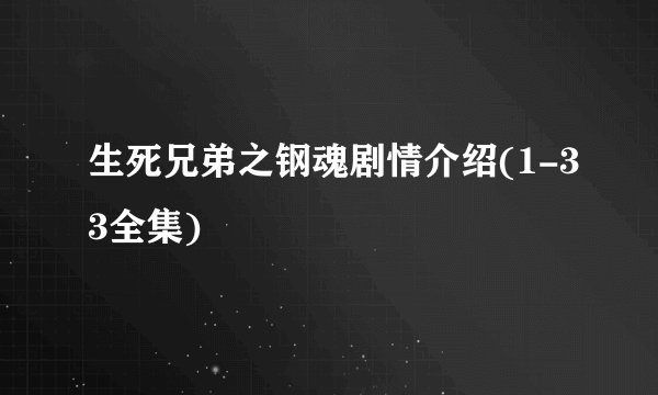 生死兄弟之钢魂剧情介绍(1-33全集)
