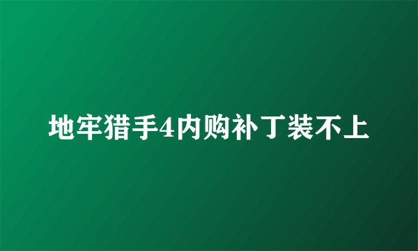 地牢猎手4内购补丁装不上