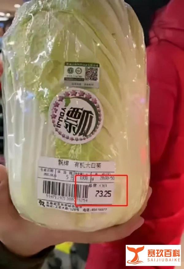 吉林天价白菜73元一颗？
