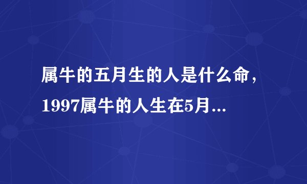 属牛的五月生的人是什么命，1997属牛的人生在5月是什么命？金木水火土