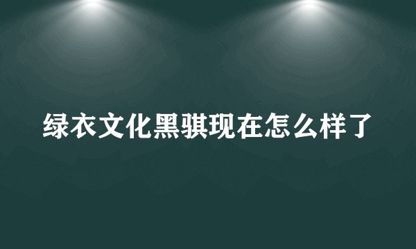 绿衣文化黑骐现在怎么样了