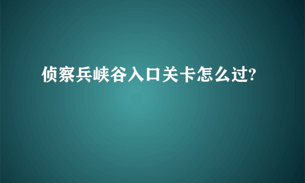 侦察兵峡谷入口关卡怎么过?