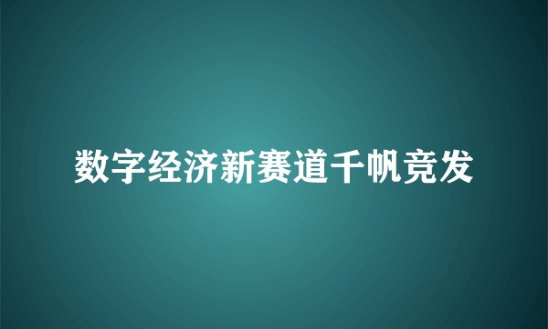数字经济新赛道千帆竞发