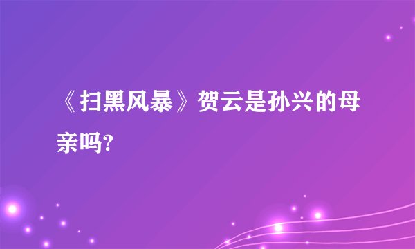 《扫黑风暴》贺云是孙兴的母亲吗?