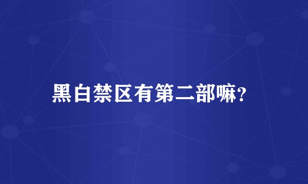 黑白禁区有第二部嘛？