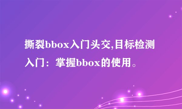 撕裂bbox入门头交,目标检测入门：掌握bbox的使用。