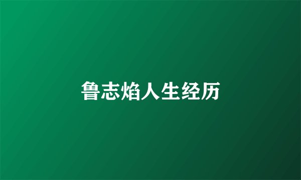 鲁志焰人生经历
