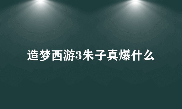 造梦西游3朱子真爆什么