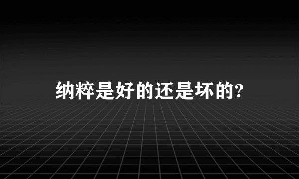 纳粹是好的还是坏的?