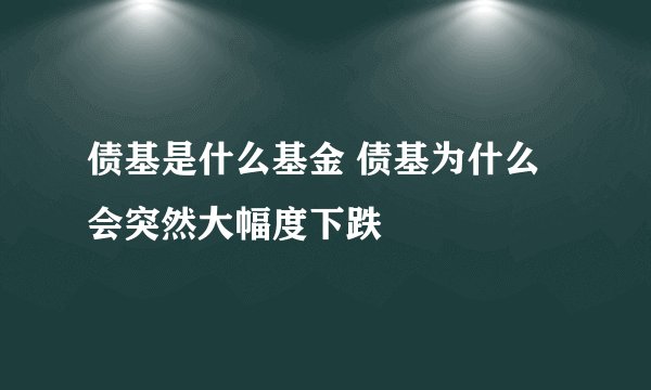 债基是什么基金 债基为什么会突然大幅度下跌