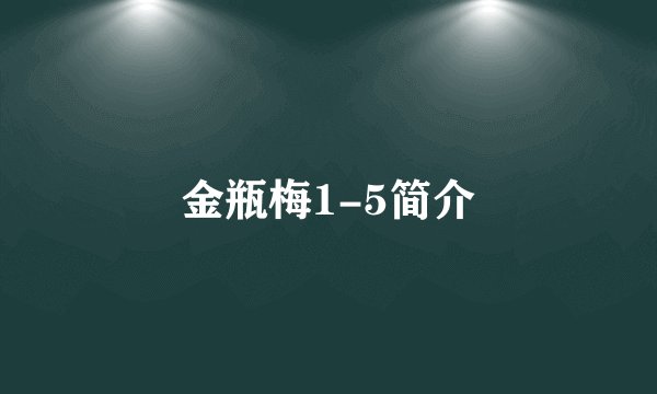 金瓶梅1-5简介