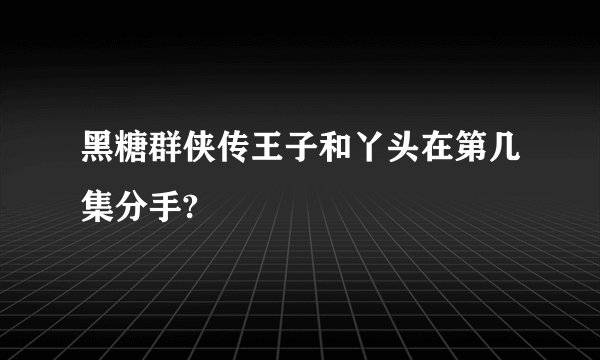 黑糖群侠传王子和丫头在第几集分手?