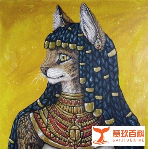 央视直播间突然传出猫叫,7千万人在线