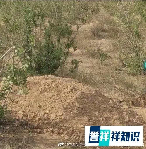 男子活埋79岁瘫痪母亲，警方通报