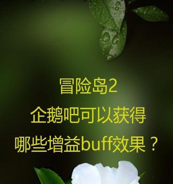 冒险岛2企鹅吧可以获得哪些增益buff效果？