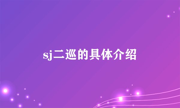 sj二巡的具体介绍