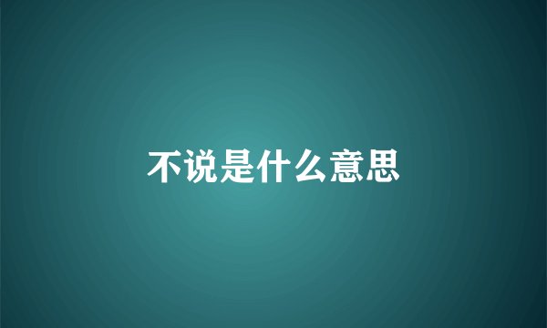 不说是什么意思