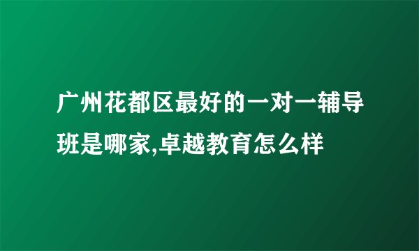 广州花都区最好的一对一辅导班是哪家,卓越教育怎么样